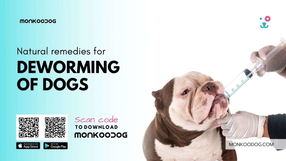 natural-remedies-for-deworming-of-dogs-monkoodog