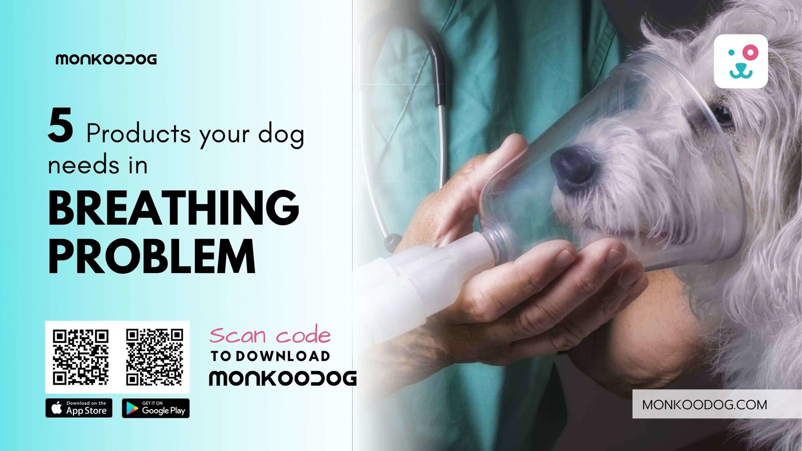 Five products your dog needs in breathing problems