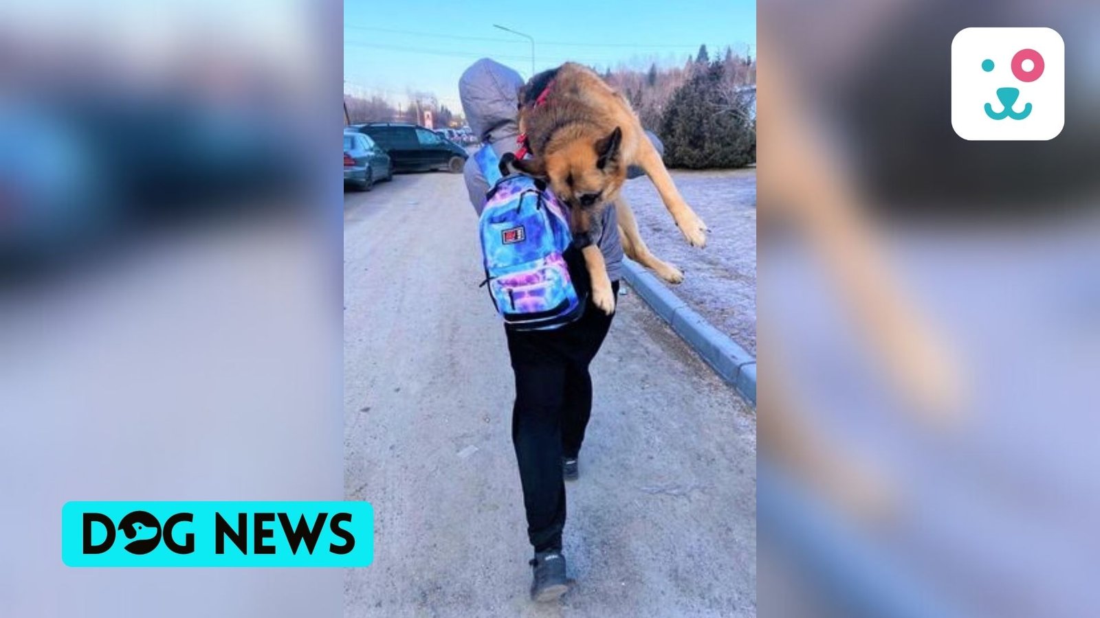 Man carried dog on his shoulder in Ukraine
