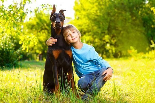 Are Dobermans good with kids?