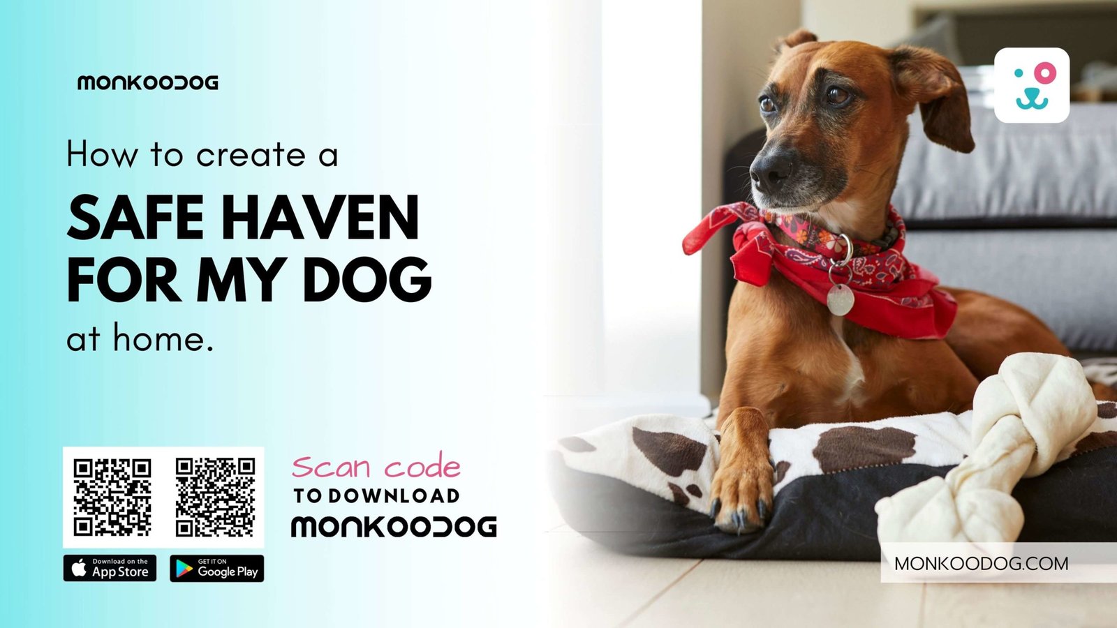 How To Create A Safe Haven For My Dog At Home