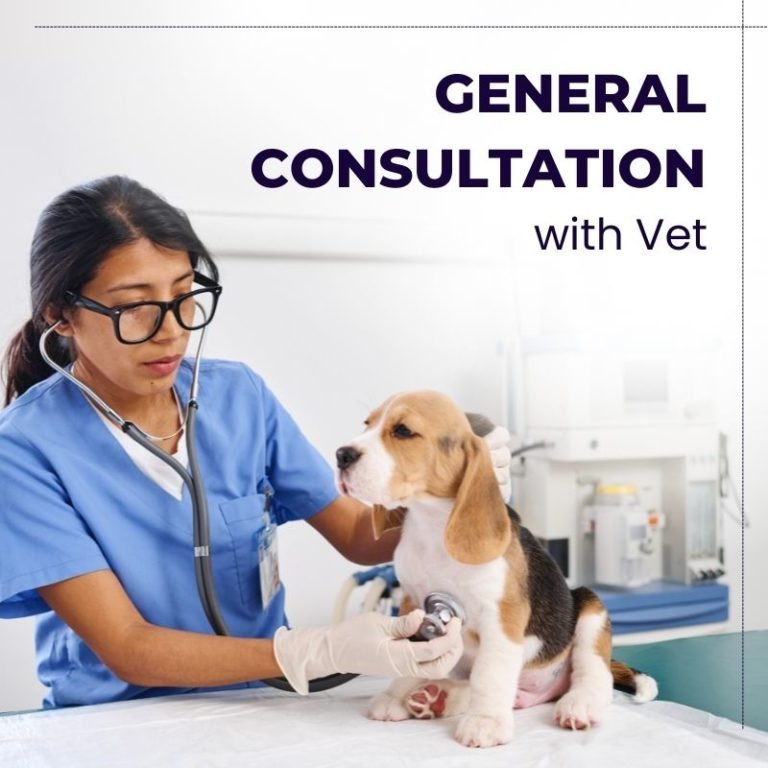 Online Vet Consultation | General Consultation - Monkoodog