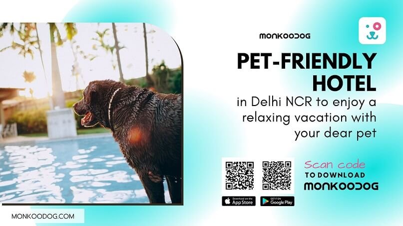 Pet-Friendly Hotel in Delhi NCR
