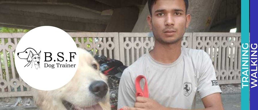 Ankit Dog Trainer - dog walking services in Delhi