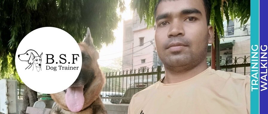 Ranjeet Dog Trainer - dog walking services in Delhi