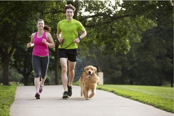 What Is Jogging Doing To Your Dog?