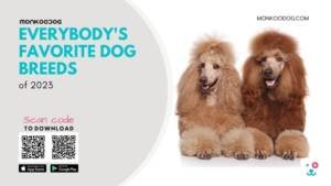 11 Best Dog Breeds For 2023