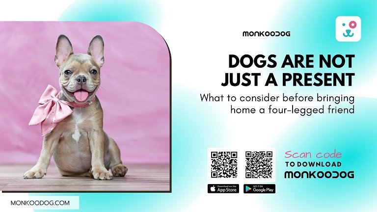 What To Consider Before Bringing Home A Four-Legged Friend