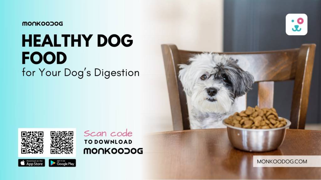 Healthy Dog Food for Your Dog’s Digestion
