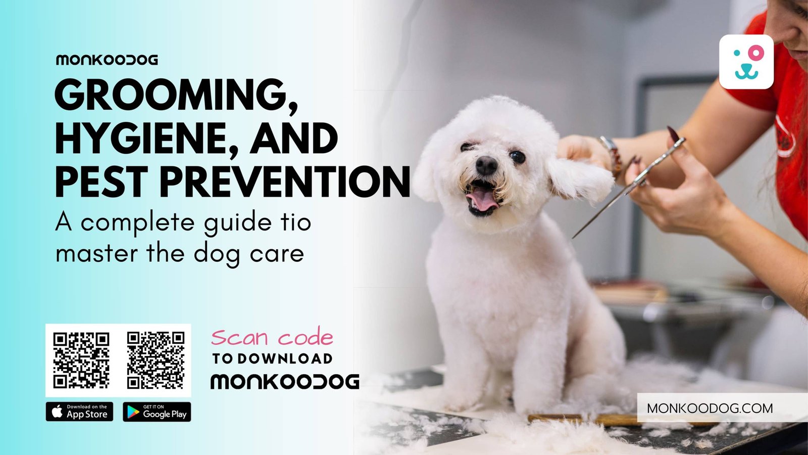 How to Become a Dog Groomer: Your Complete Guide