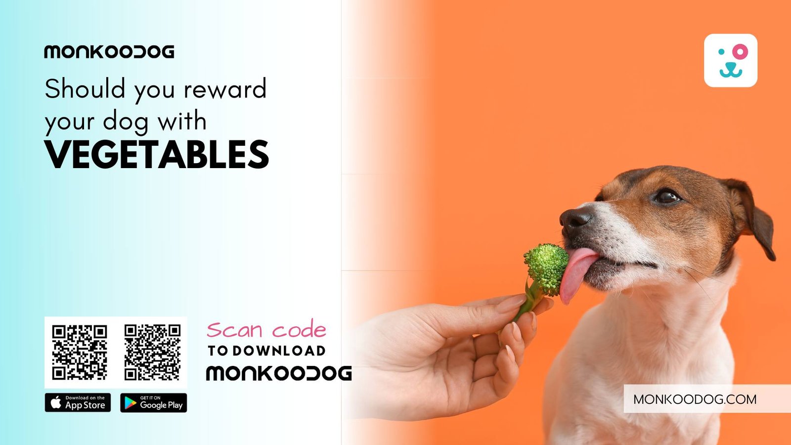 Are Vegetables Good for Dogs?