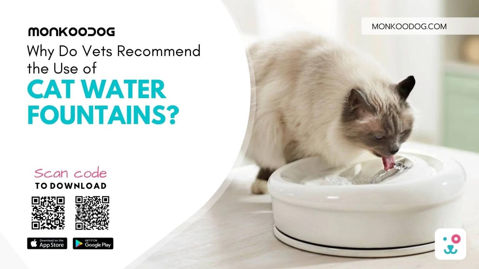 Why Do Vets the Use of Cat Water Fountains? Monkoodog