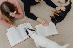 benefits of studying with your dog