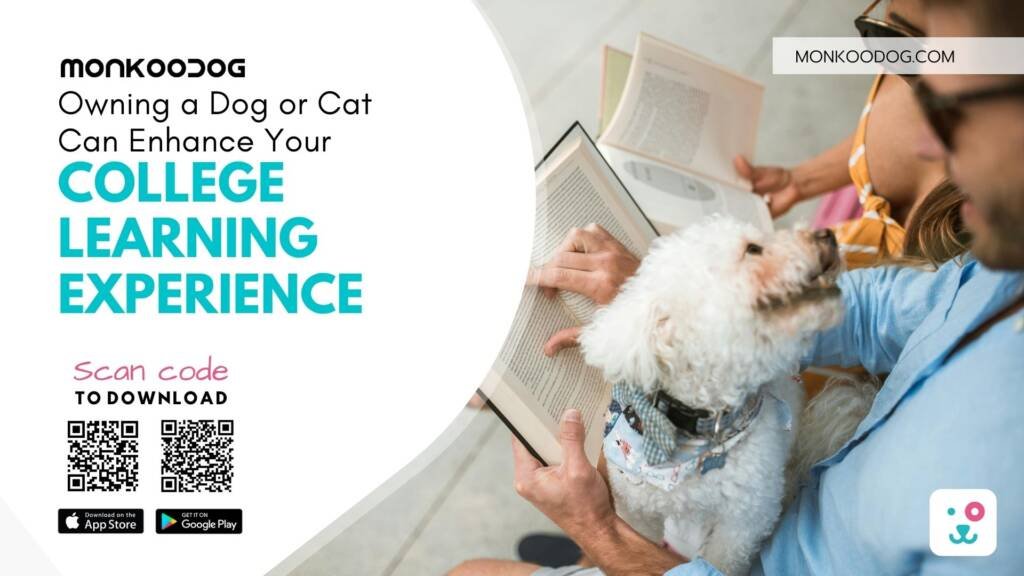 How Owning a Dog or Cat Can Enhance Your College Learning Experience