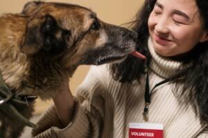 a dog licking girl's face