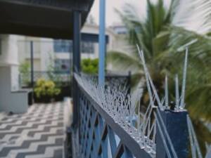 bird spikes on the balcony
