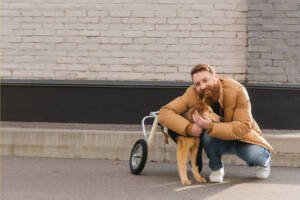 a man is hugging an old wheelchaired dog 