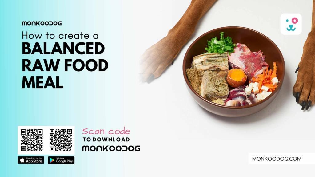 Balanced raw food meal by monkoodog