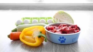 preparing raw food diet for dogs