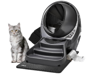 kitty litter box 