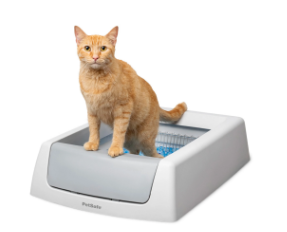 cat litter box