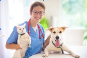 dog health care