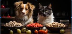 pets healthy diet