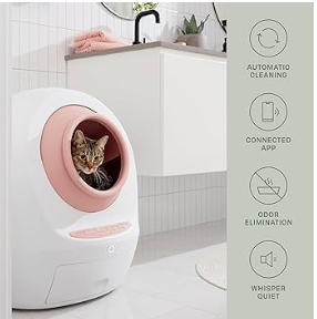 cat box