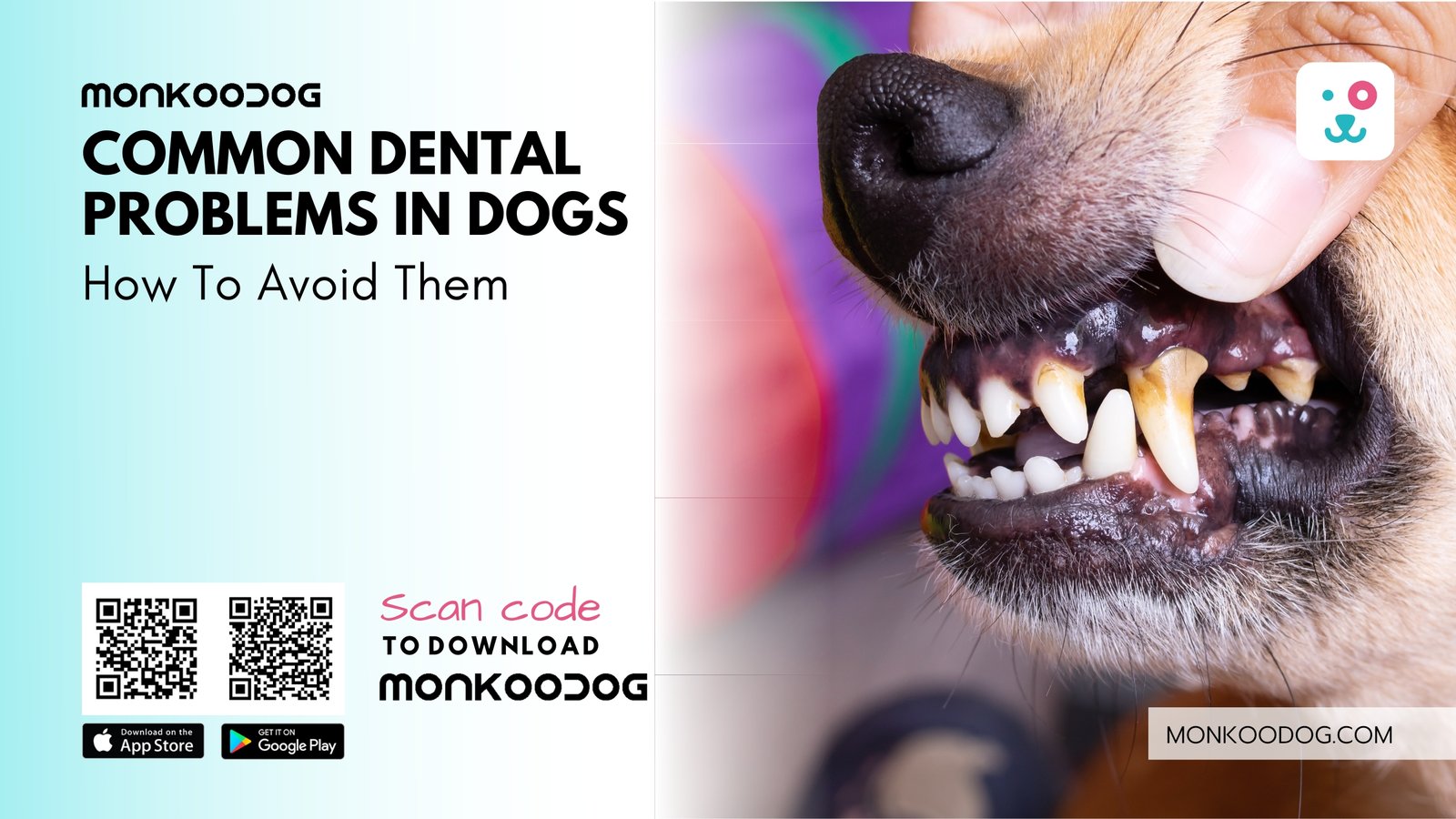Photo inspiration: Dogs Dental Health Problems Reference: Dental Problems In Dogs