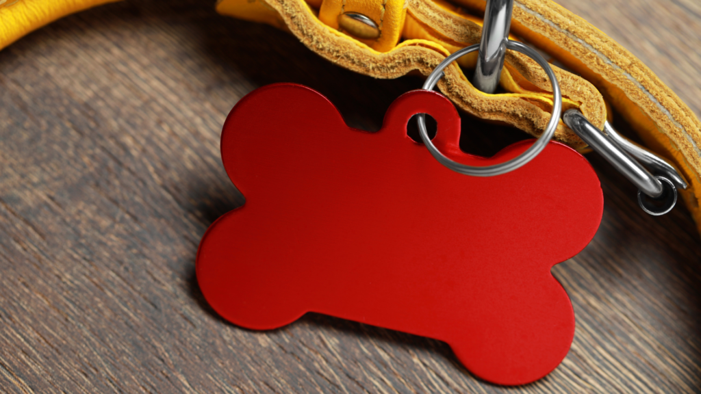 Dog Name tag according to dog's personality