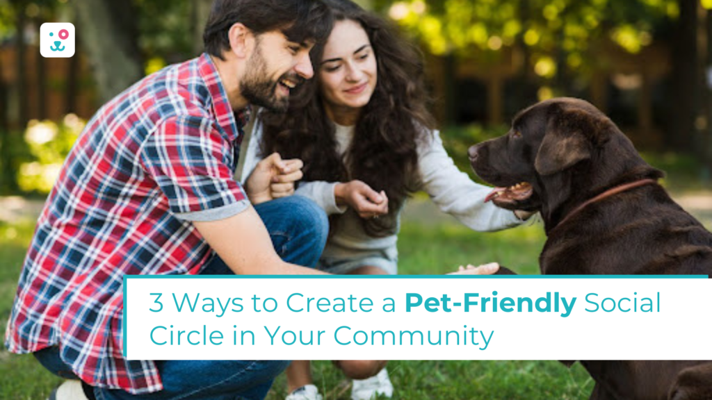 3 Ways to Create a Pet-Friendly Social Circle in Your Community (2)