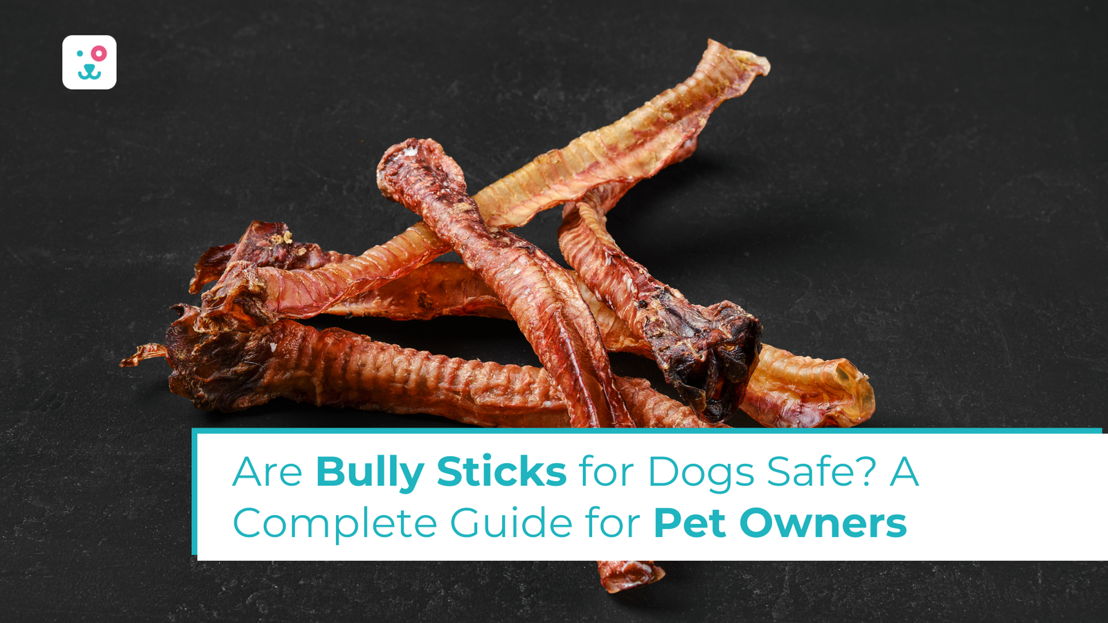 Are Bully Sticks for Dogs Safe? A Complete Guide for Pet Owners