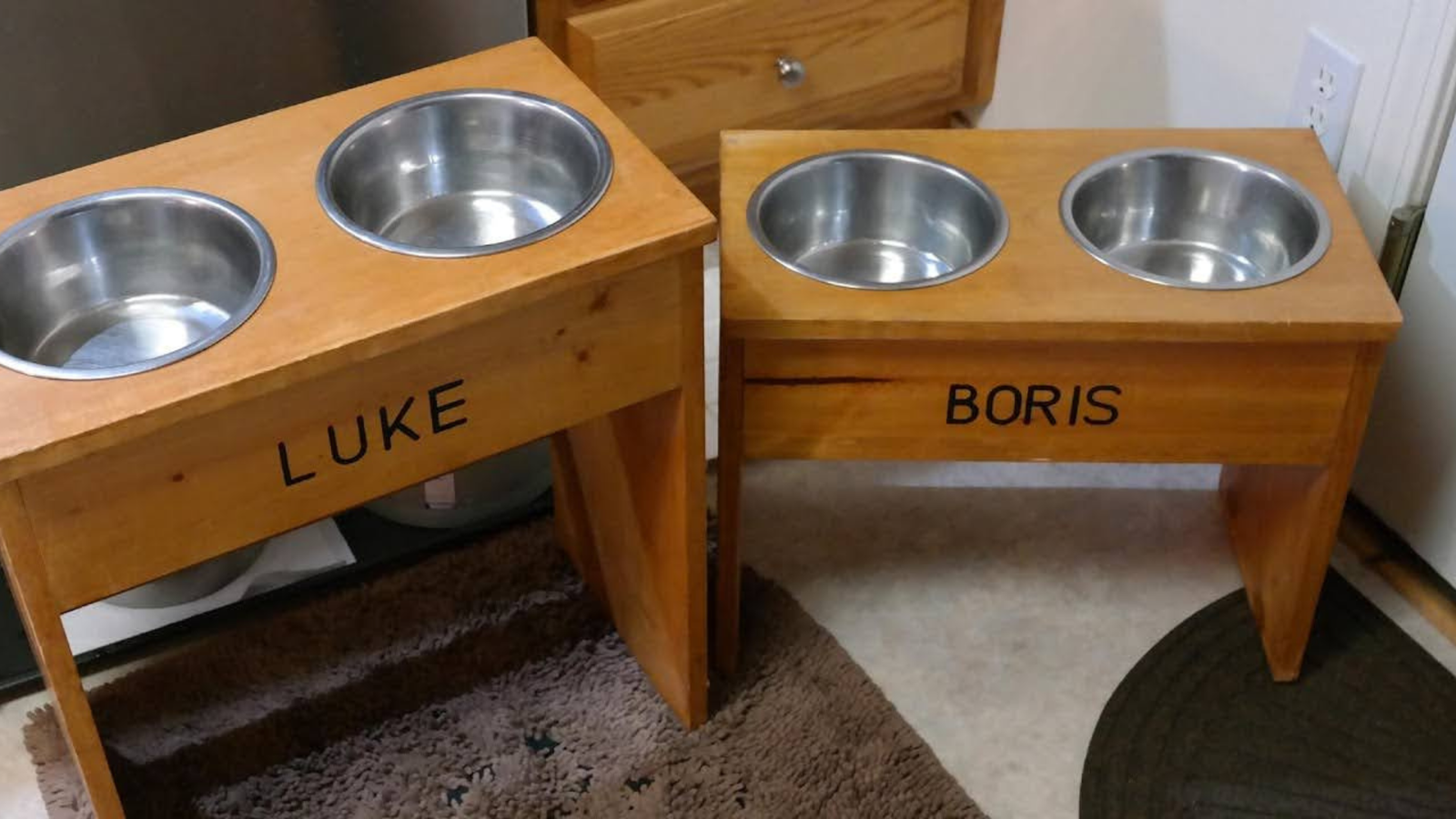 View of Top Pet-Friendly Home Upgrades Every Owner Should Know