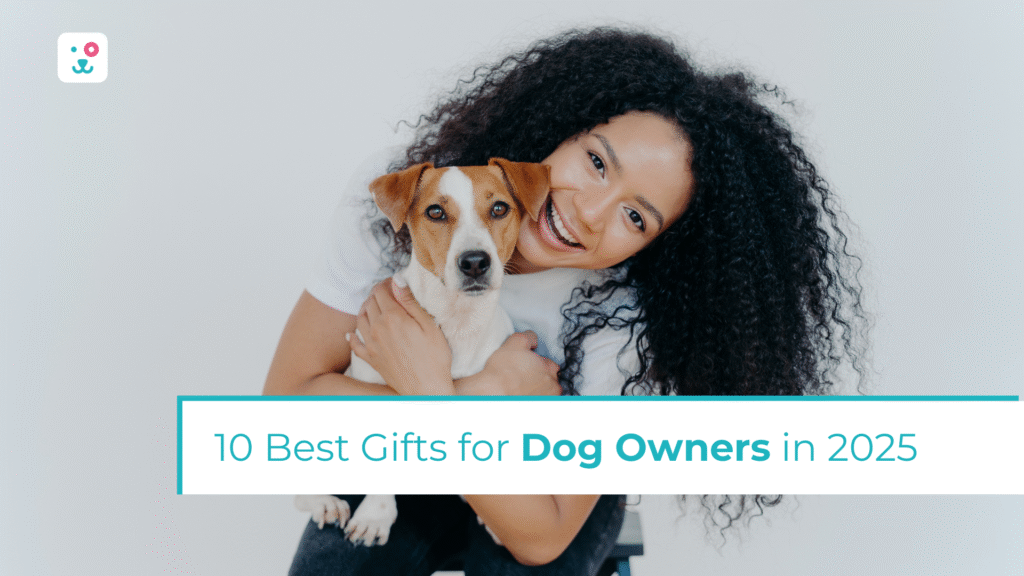 10 Best Gifts for Dog Owners in 2025