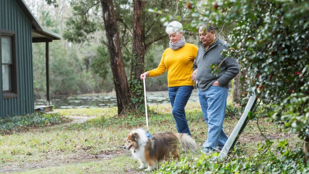 dog helping trauma recovery patient on walking for healthy habit