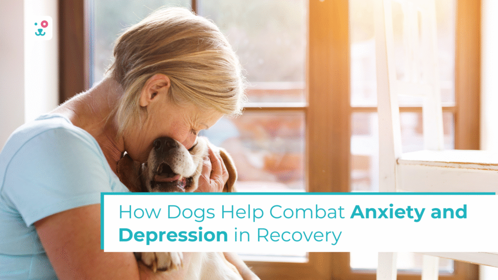 How Dogs Help Combat Anxiety and Depression in Recovery
