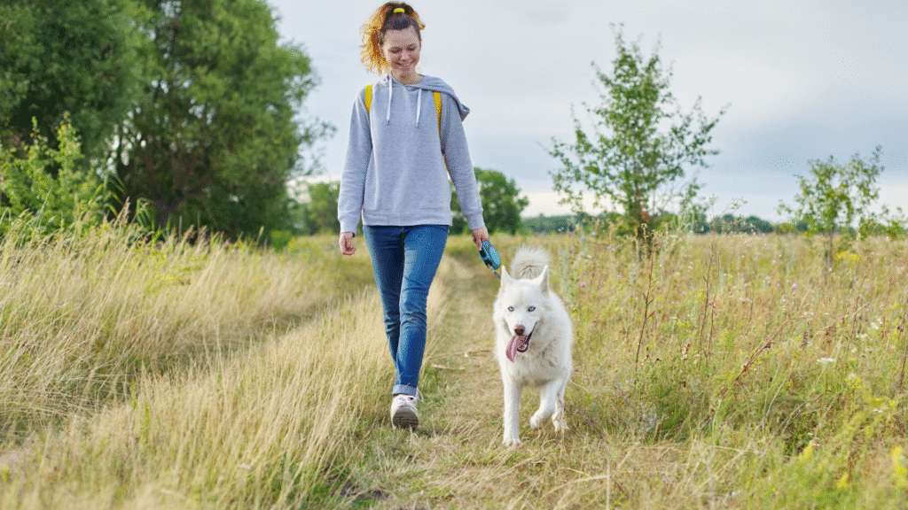 Dogs Help in Anxiety and Depression by taking us out for a walk