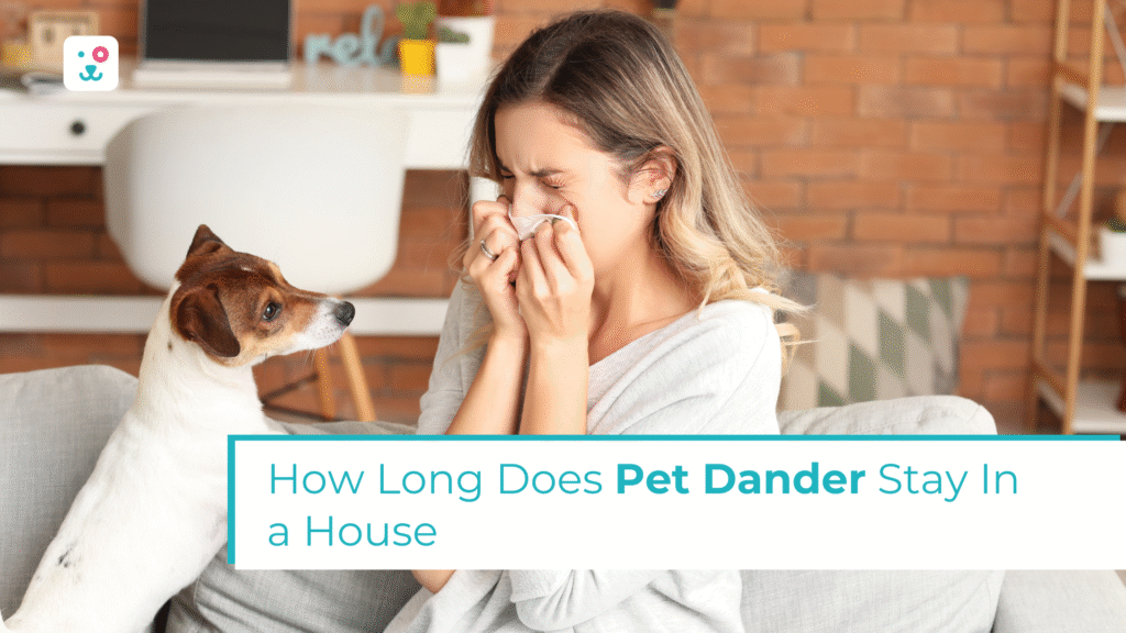 How Long Does Pet Dander Stay In a House