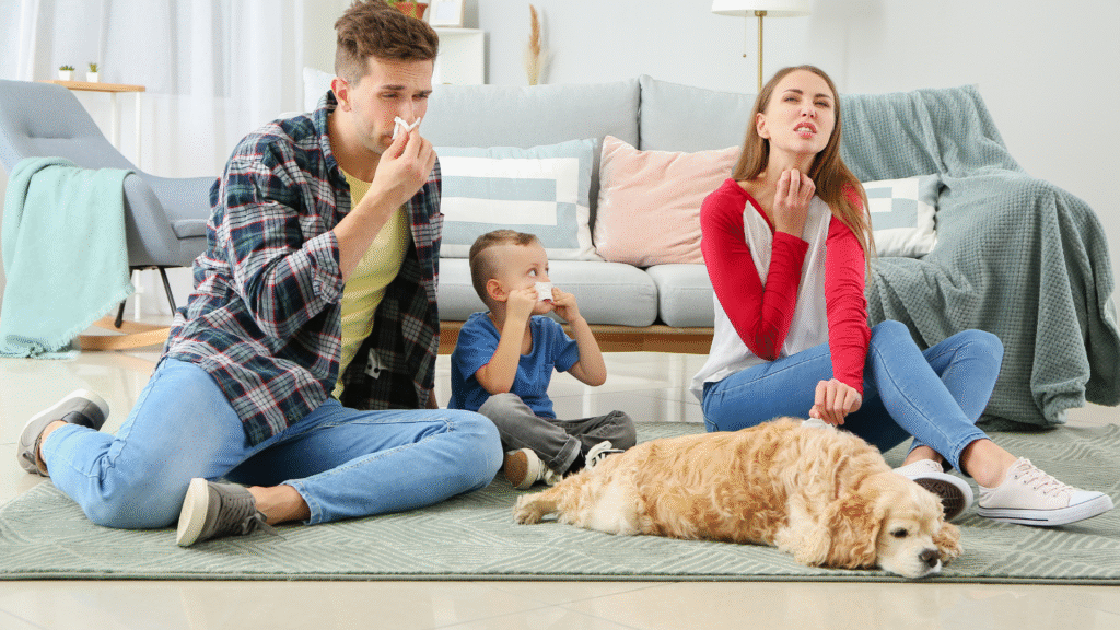 Pet Dander make everyone in family allergic and health problem
