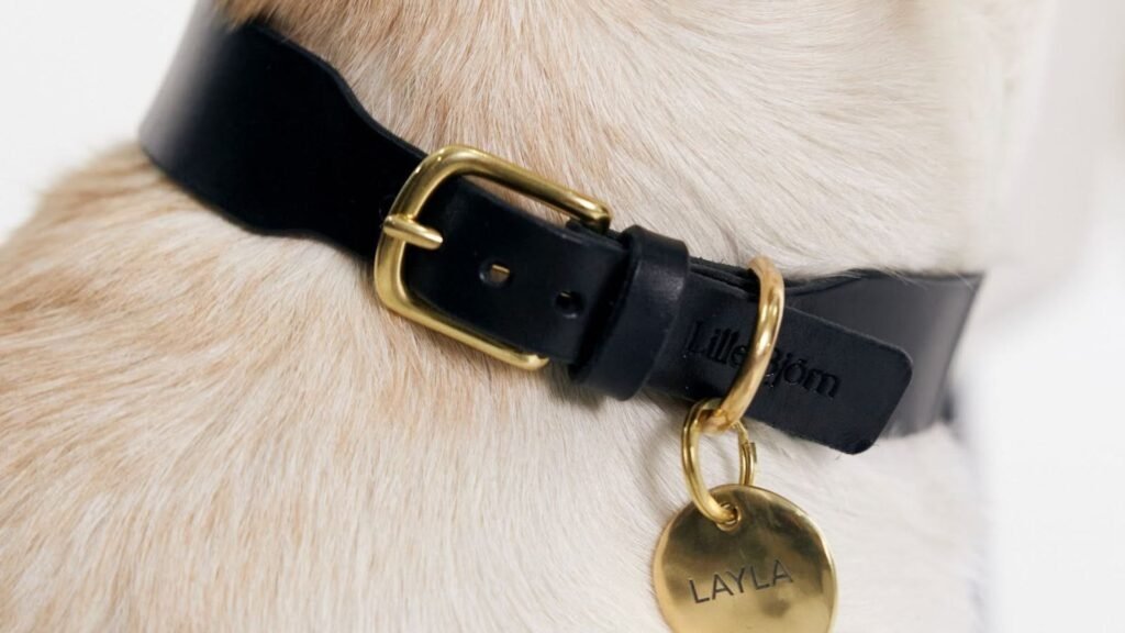 dog collar helps in dog's comfort
