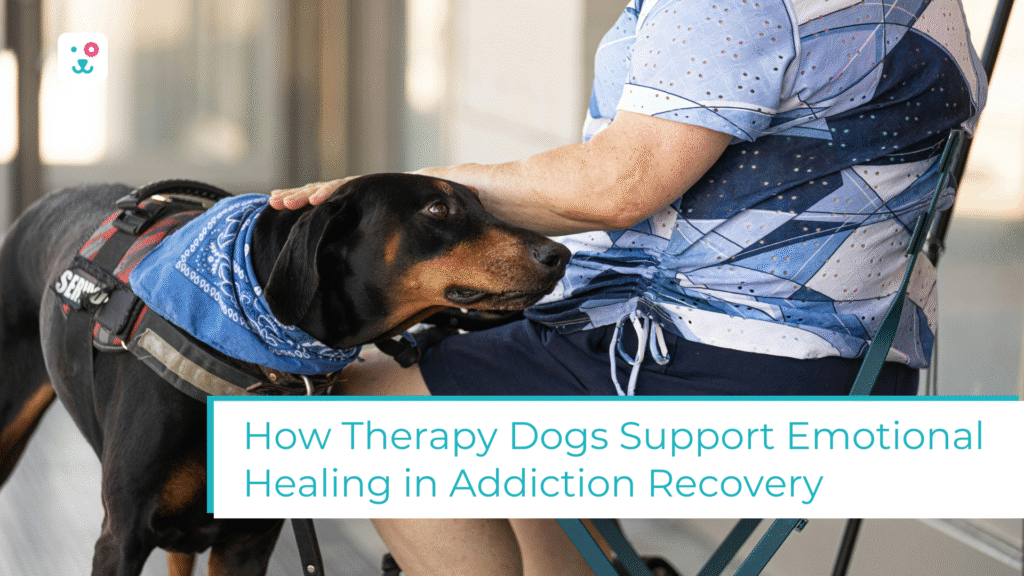 How Therapy Dogs Support Emotional Healing in Addiction Recovery