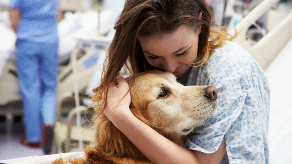 How therapy dogs support emotionaly