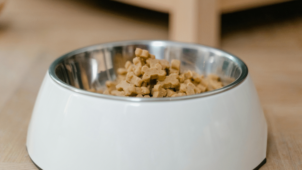 Online Vendors The Best To Buy Dog Supplements 