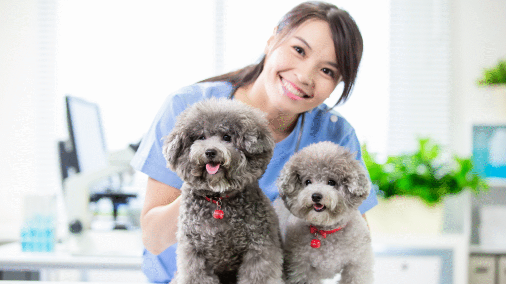 Licensed Therapist for dog emotional health