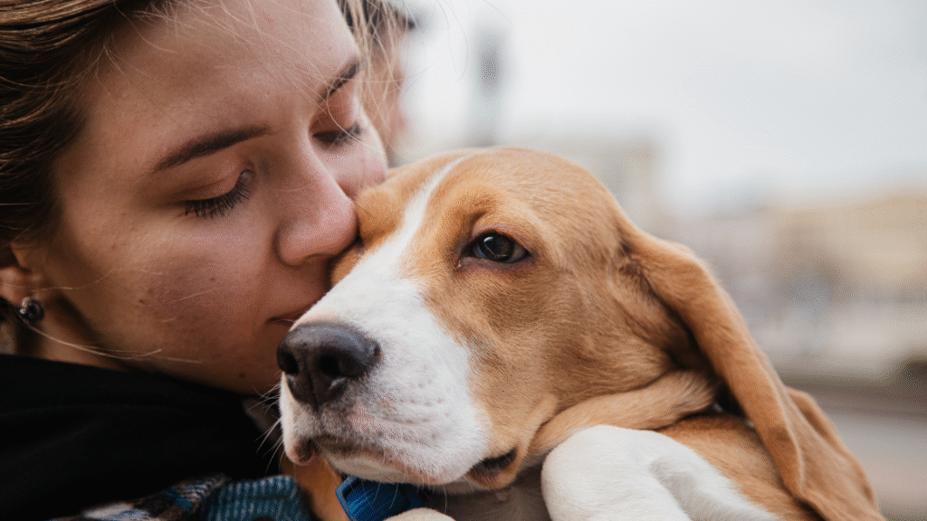 need a Licensed Therapist for dog emotional support