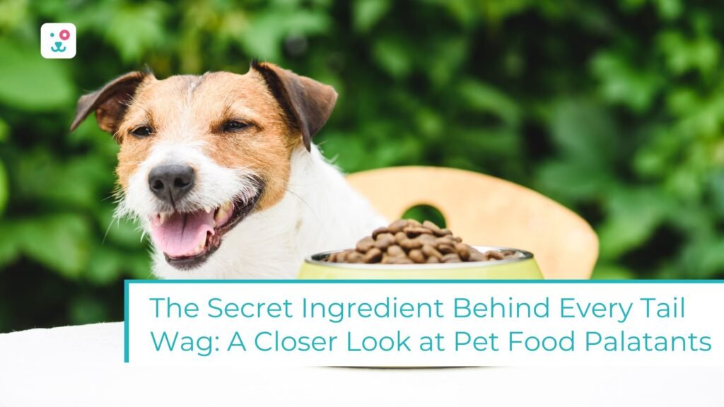 The Secret Ingredient Behind Every Tail Wag: A Closer Look at Pet Food Palatants